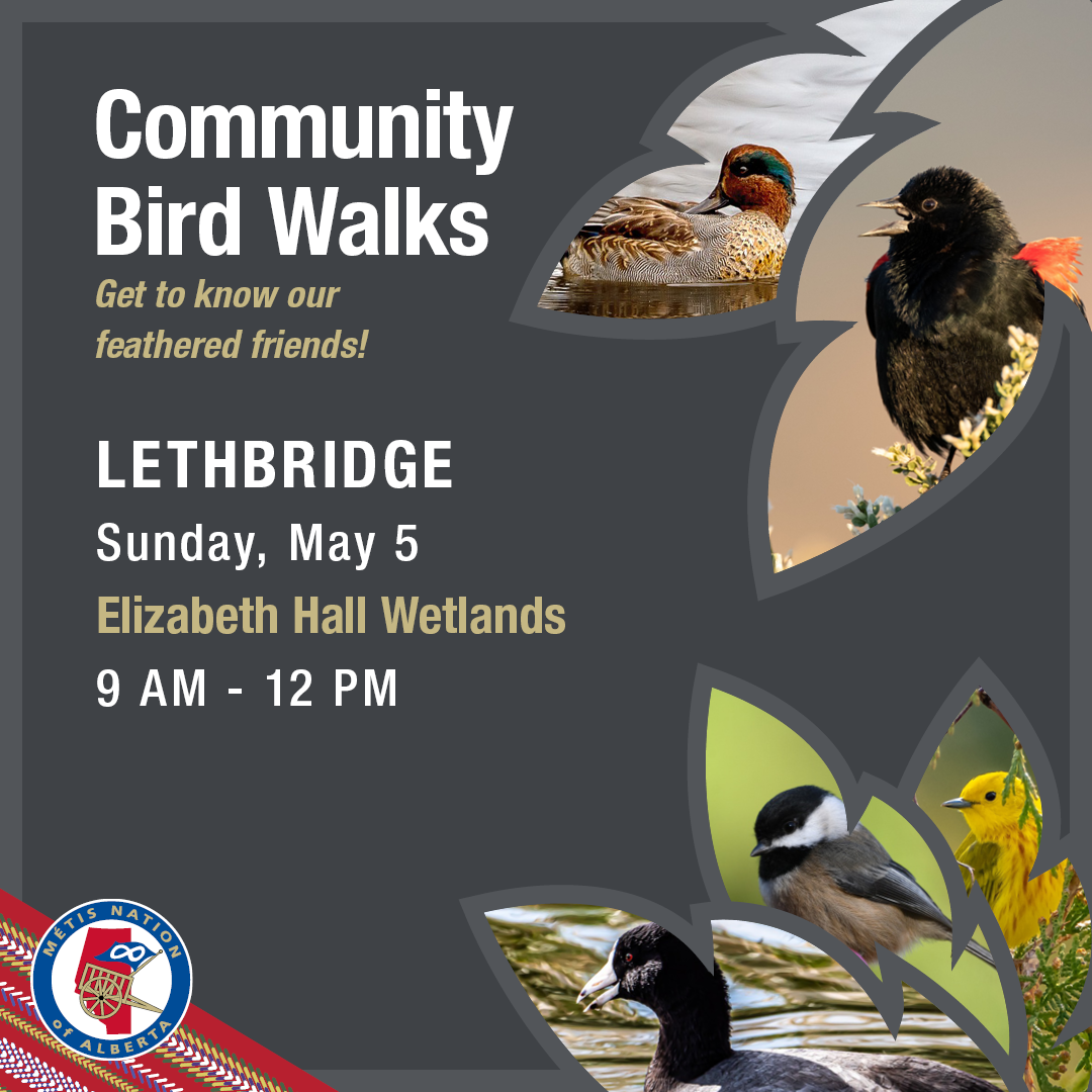 Community Bird Walks. Get to know our feathered friends! Lethbridge, Sunday May 5, Elizabeth Hall Wetlands, 9 am - 12 pm. 