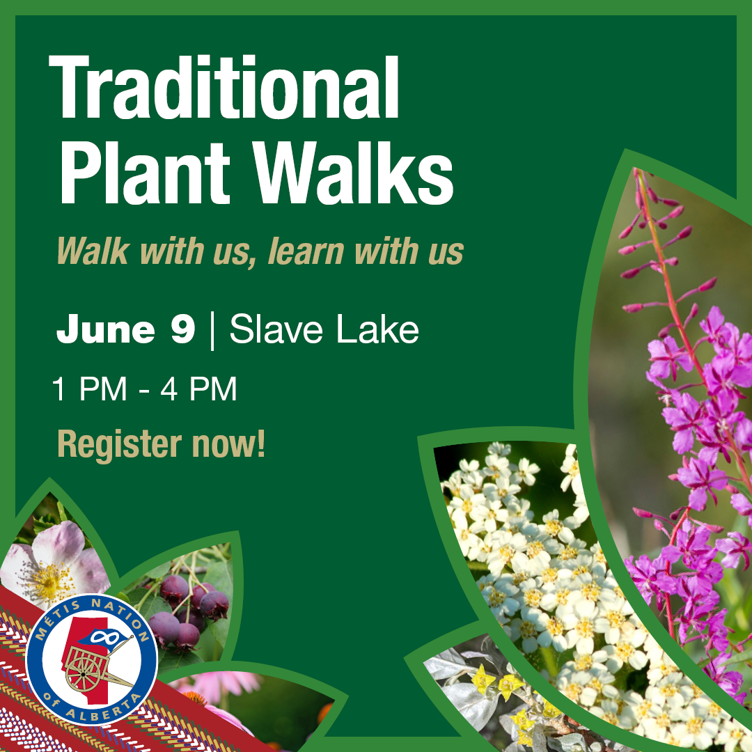 Traditional Plant Walk, June 9, Slave Lake, 1 - 4 pm