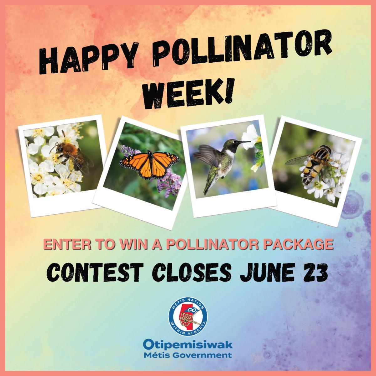 Happy Pollinator Week! Enter to win a pollinator package. Contest closes June 23