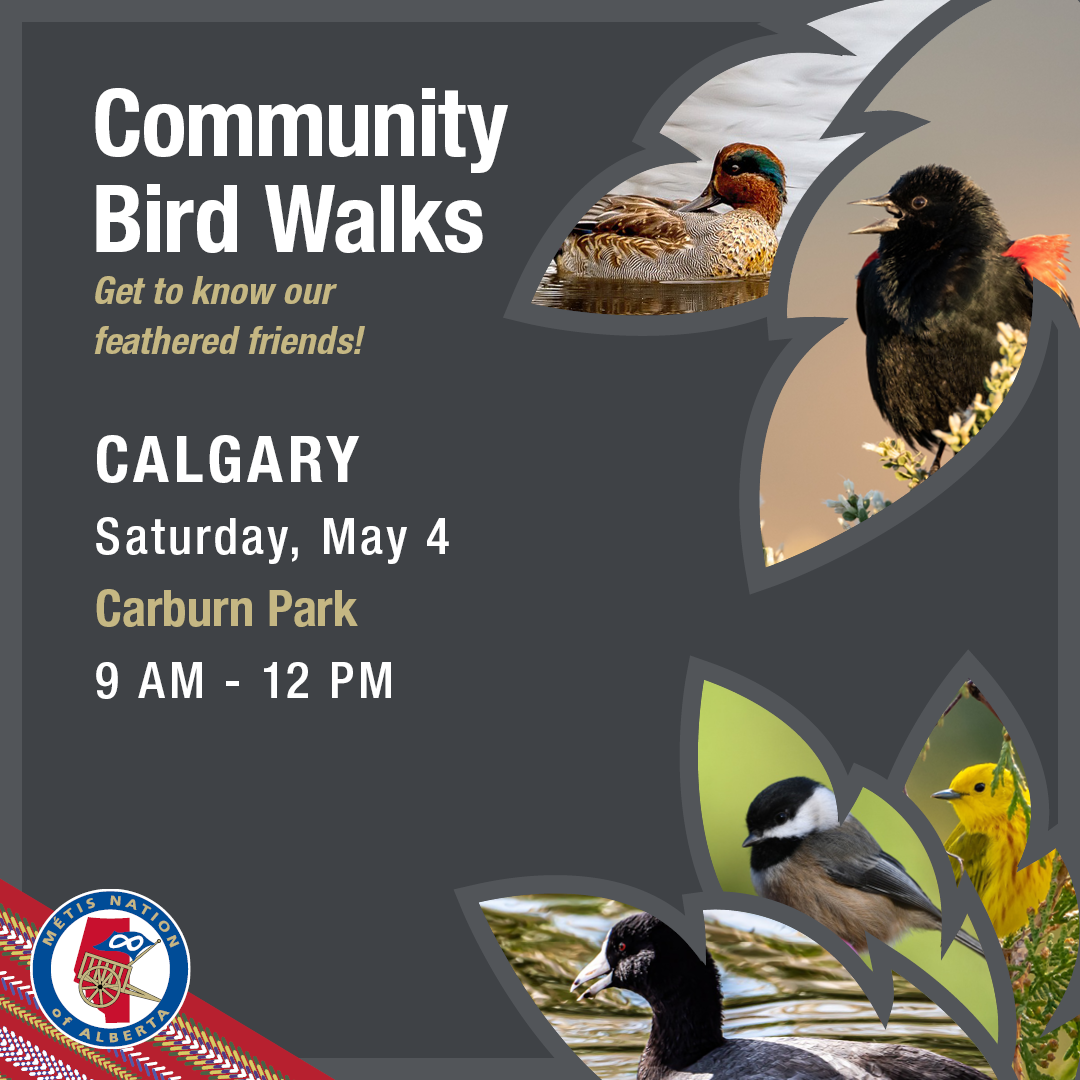 Community Bird Walks. Get to know our feathered friends! Calgary, Saturday May 4, Carburn Park, 9am - 12pm.