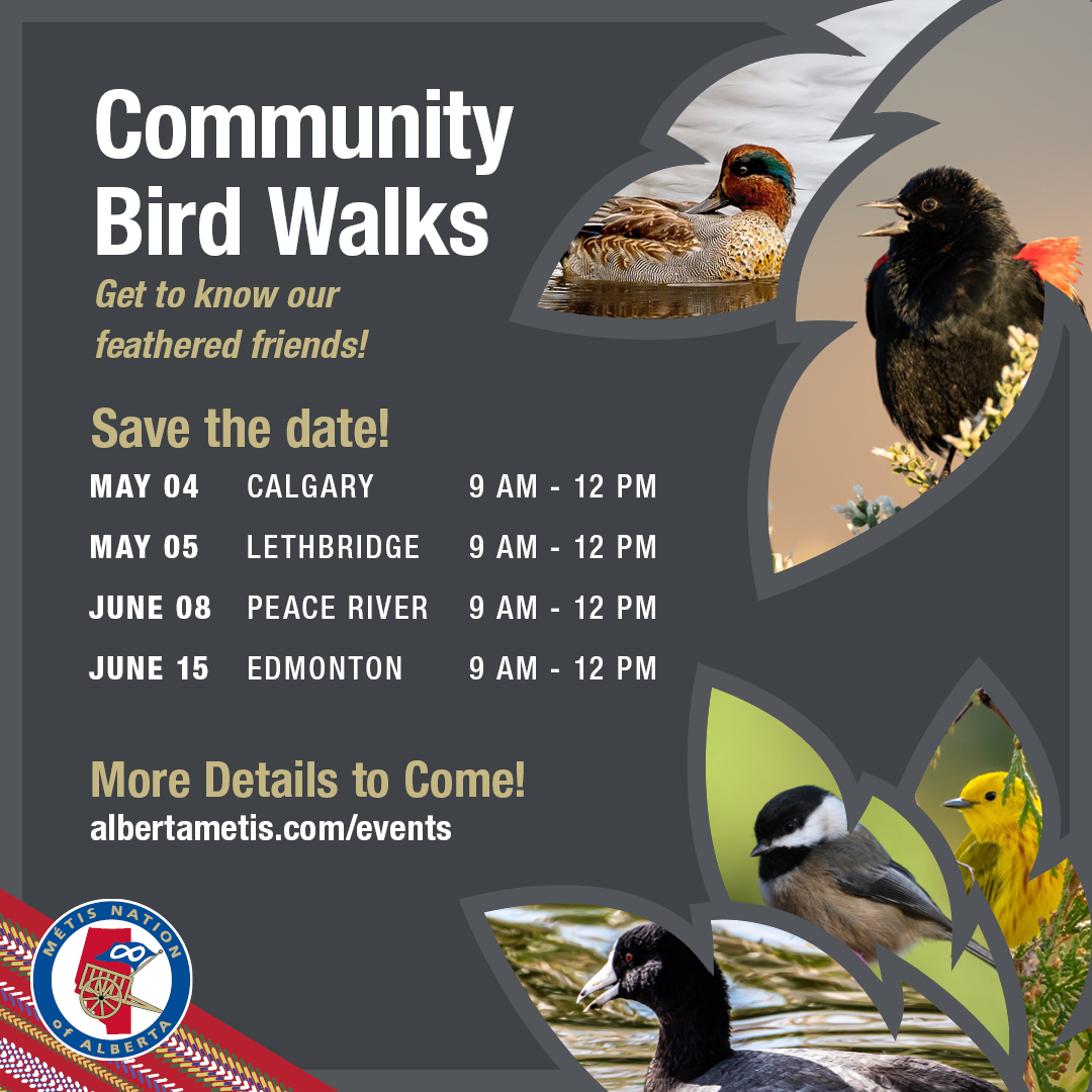 Community Bird Walks. Get to know our feathered friends! Save the date! May 4, Calgary, 9am - 12pm. May 5, Lethbridge, 9am - 12pm. June 8, Peace River, 9am - 12pm. June 15, Edmonton, 9am - 12pm. Albertametis.com/events