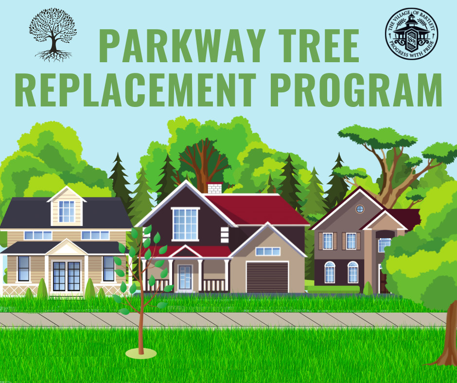 parkway_tree_program_p1.png
