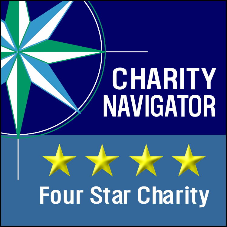charity navigator square