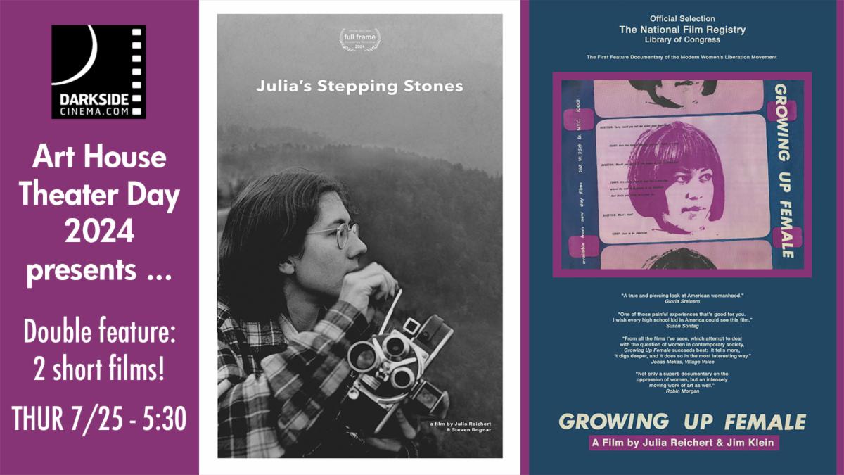 Julias STepping Stones/Growing up female poster