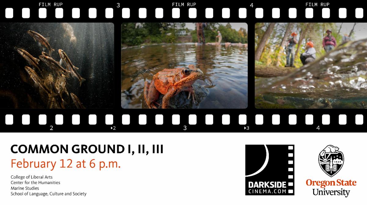 Common Ground 1, 2, 3 poster