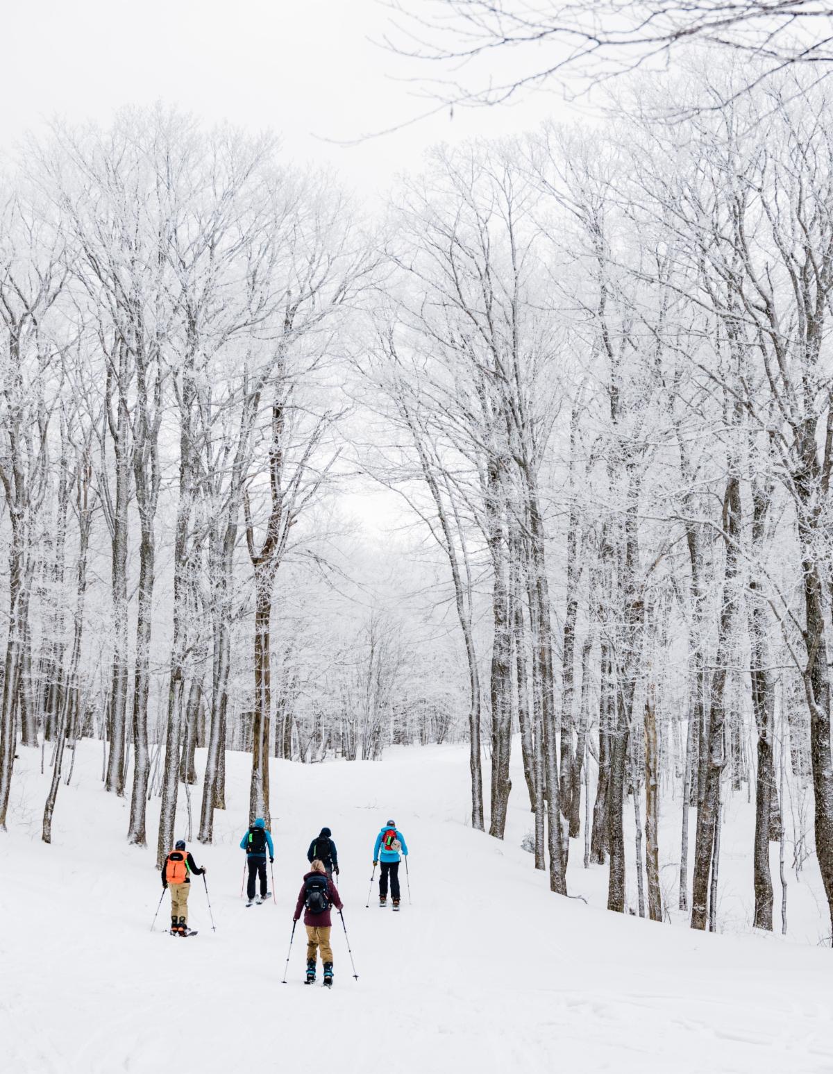Killington Lift Ticket Discount Code - jmur4hh