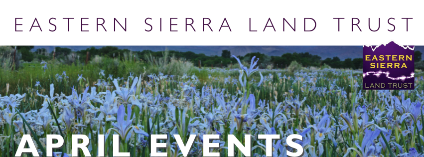 Eastern Sierra Land Trust—Iris Field—April Events