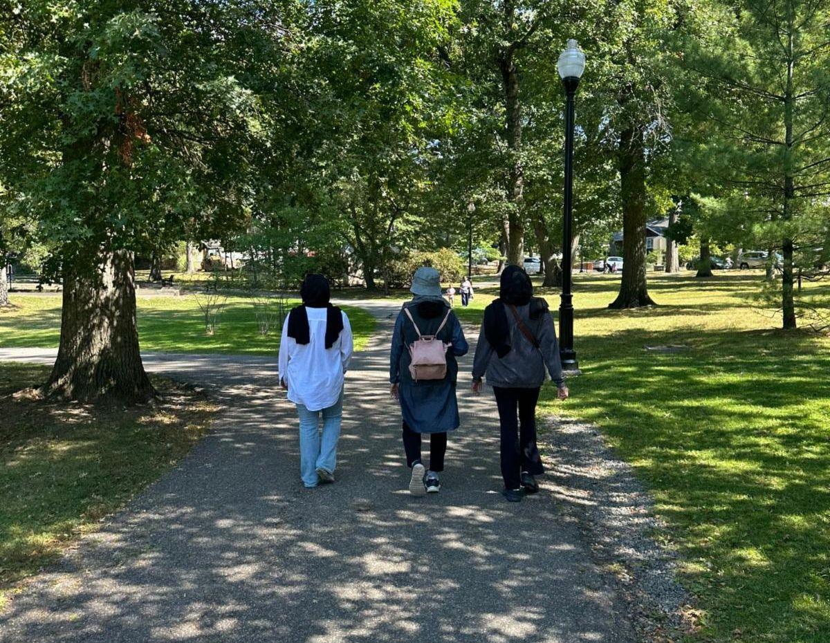 three ladies walk on a wide path in a park