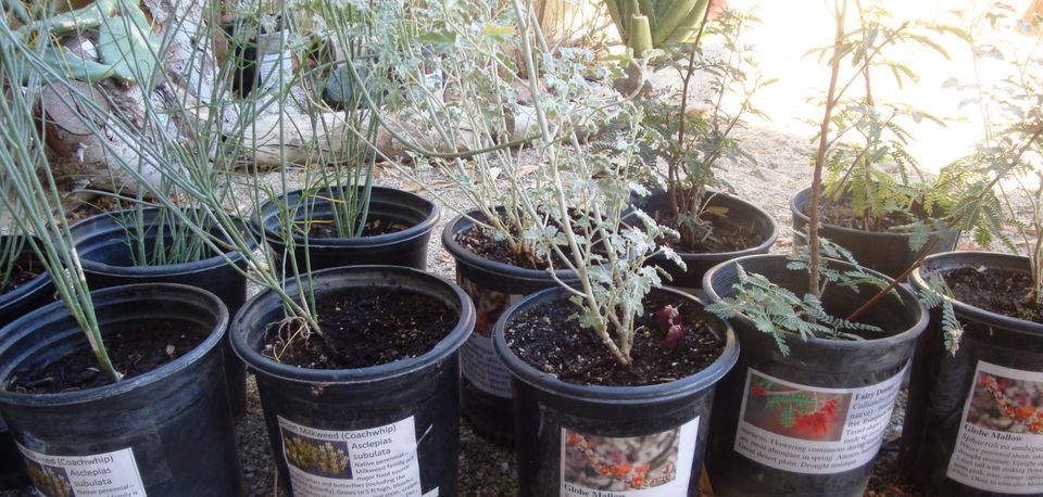 03f637d1-430a-482a-8178-13f06d66f7ca image