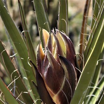 099bd41d-c4d1-4f36-a10f-0a8b2d834685 image