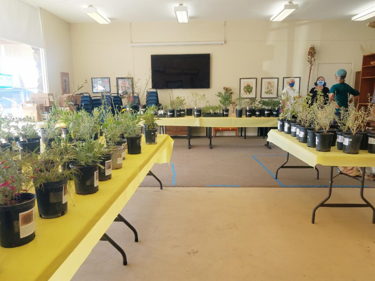 45b499b5-5351-489f-b862-d570d6bac7dd image