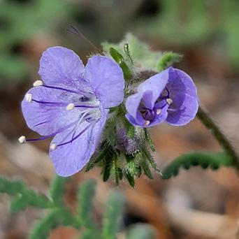 502dac59-a831-4746-bc8a-cd8fd2ff8fcf image