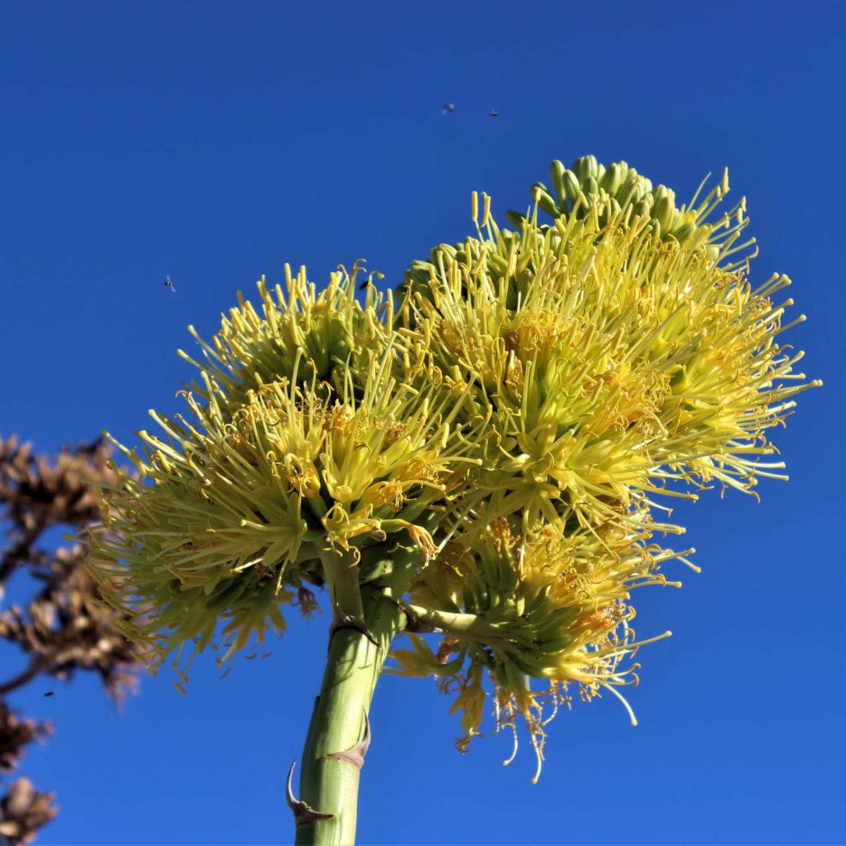 6f5908d4-feb6-4457-94a6-d8d369ac5f04 image