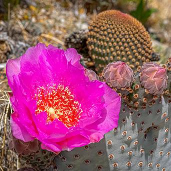 c35b440a-6a55-415f-81eb-611a38e65313 image