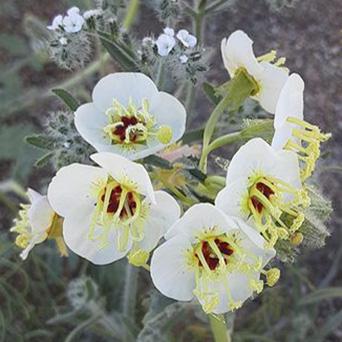 ce883692-d815-490f-a1ae-3dd1f1ca36b2 image