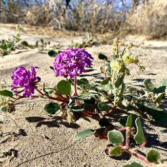 cfcb8bf9-fc29-4206-a1c9-39cada926be7 image