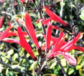 e432eaa8-f578-4ed7-9168-4b4b2542d30f image