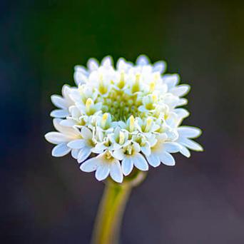 fd03ee47-a00e-41df-a45c-852cf63b9693 image