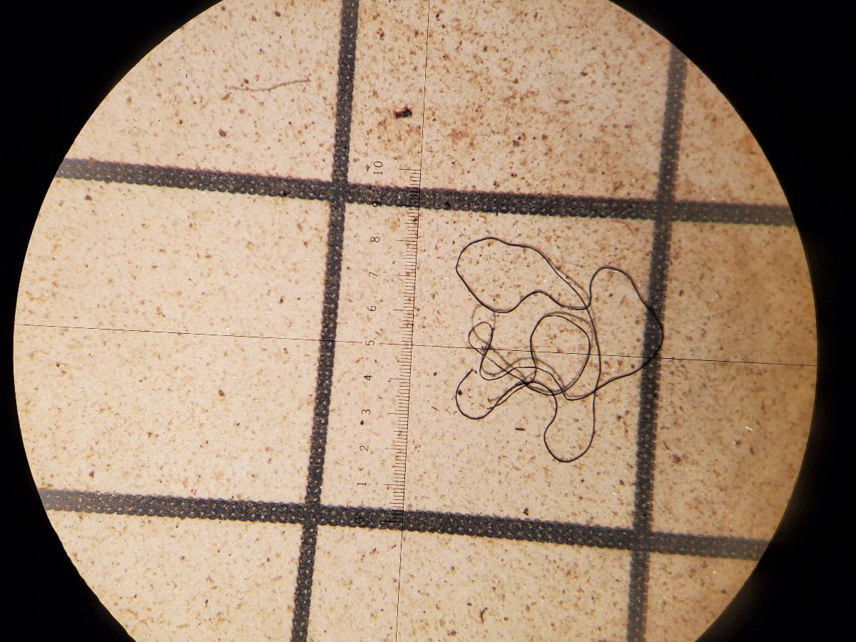 A microfiber under a microscope