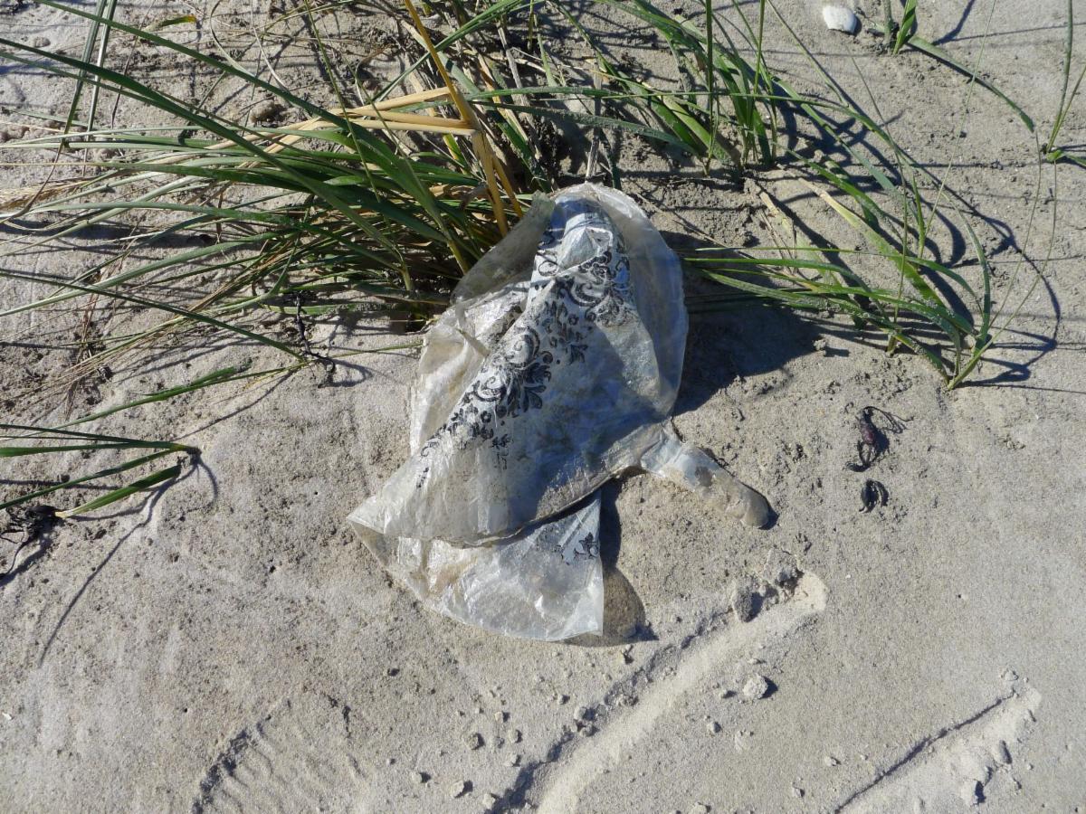 Balloon litter on a beach dune