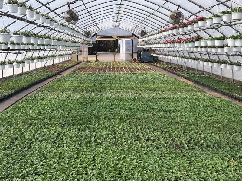 Glendale Farms is now open for the 2022 season