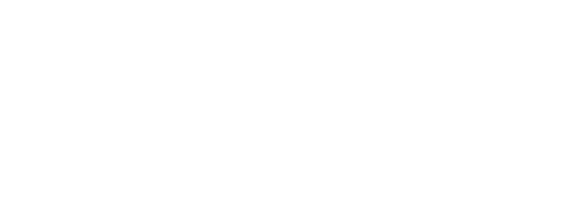 The Bender Group