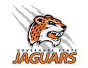 white backround slash jaguar logo