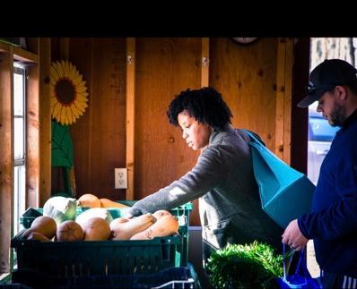 CSA member selecting produce at the Suffield farm