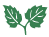 Green Leaf