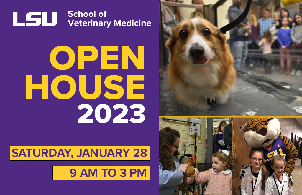 LSU Vet Med Open House 2023