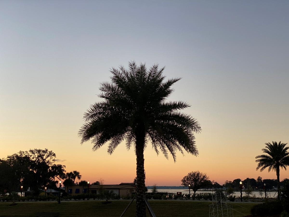 palm and lake.jpg