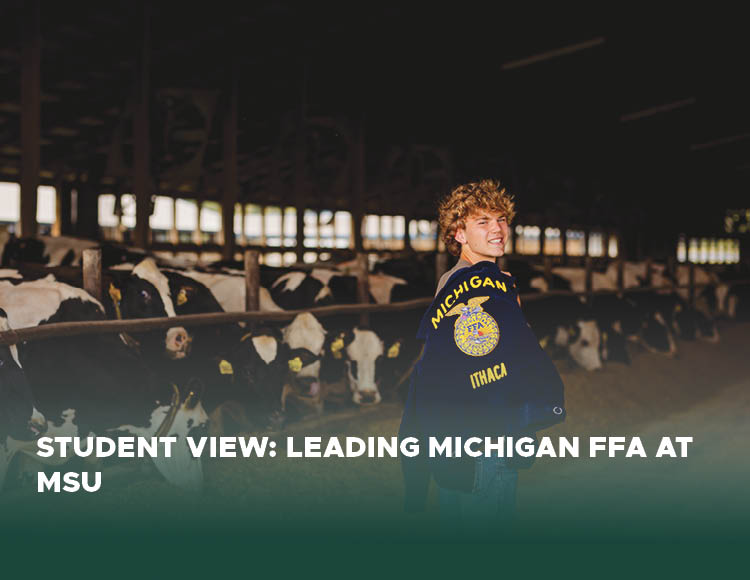 Brent DeSaegher surrounded by cows with a Michigan jacket with text below that says Student view Leading Michigan FFA at MSU