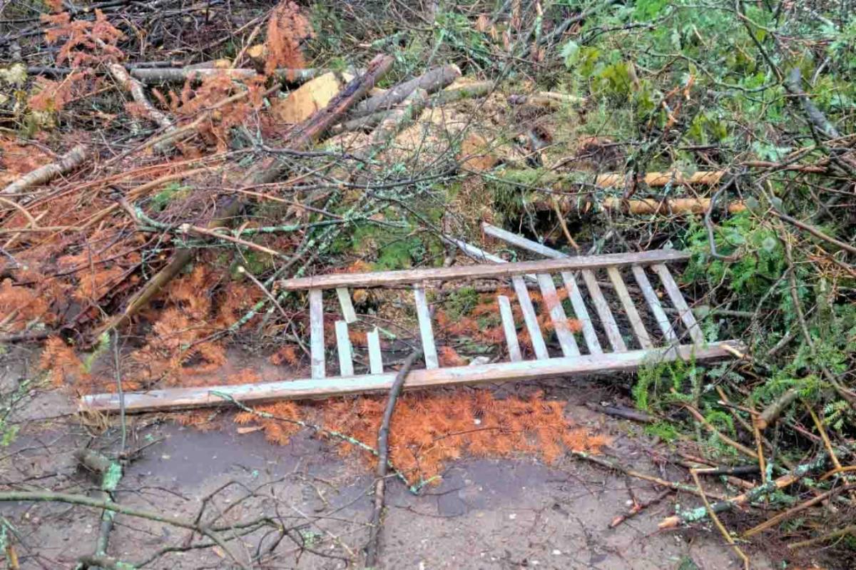 Town of Washington ENews