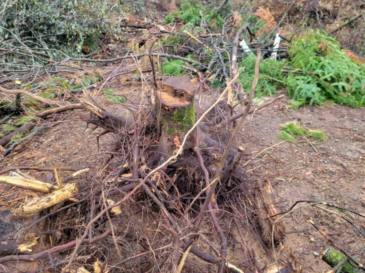 Town of Washington ENews