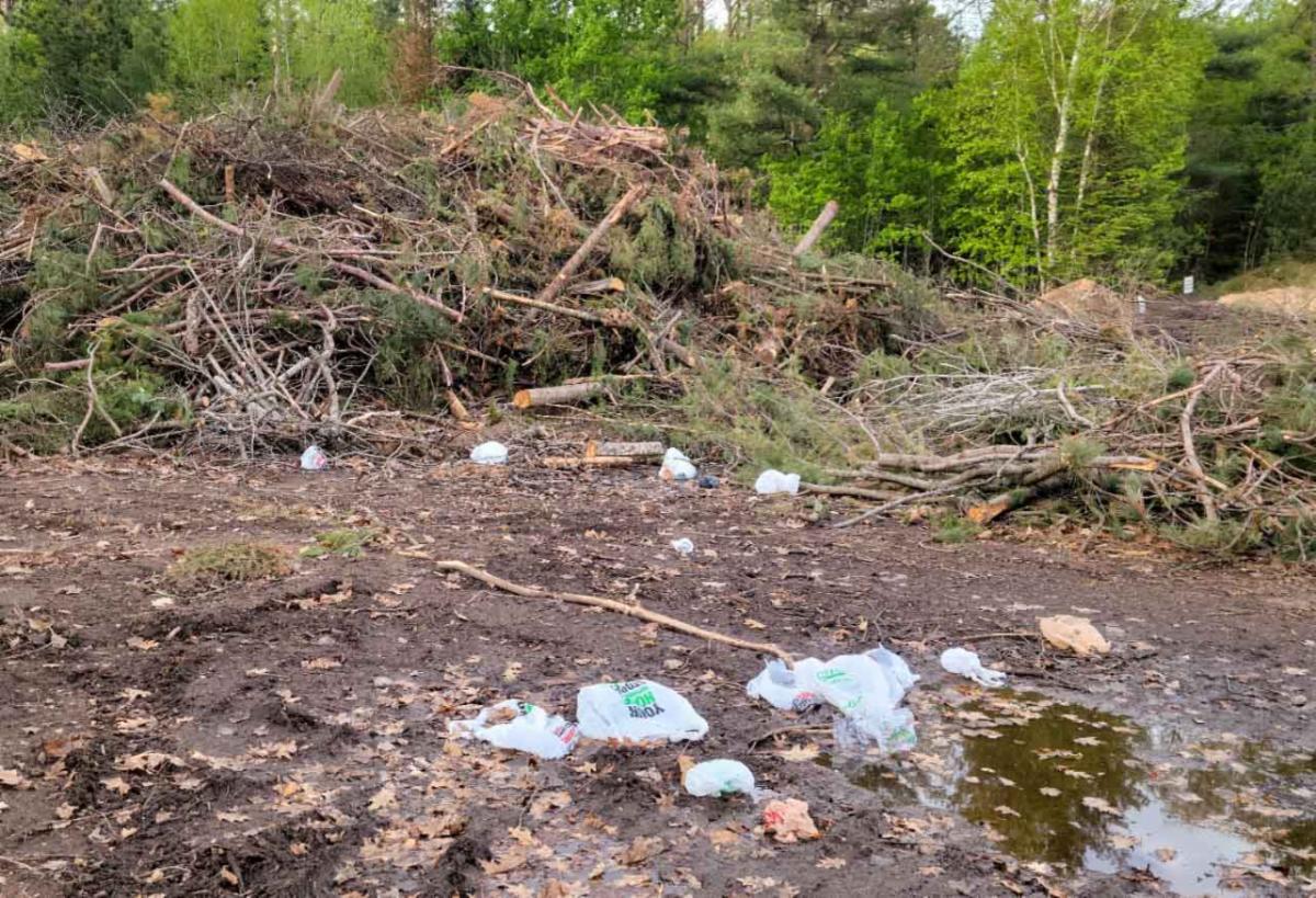 Town of Washington ENews