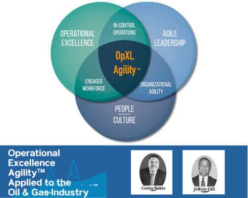 OPERATIONALEXCELLENCE.png