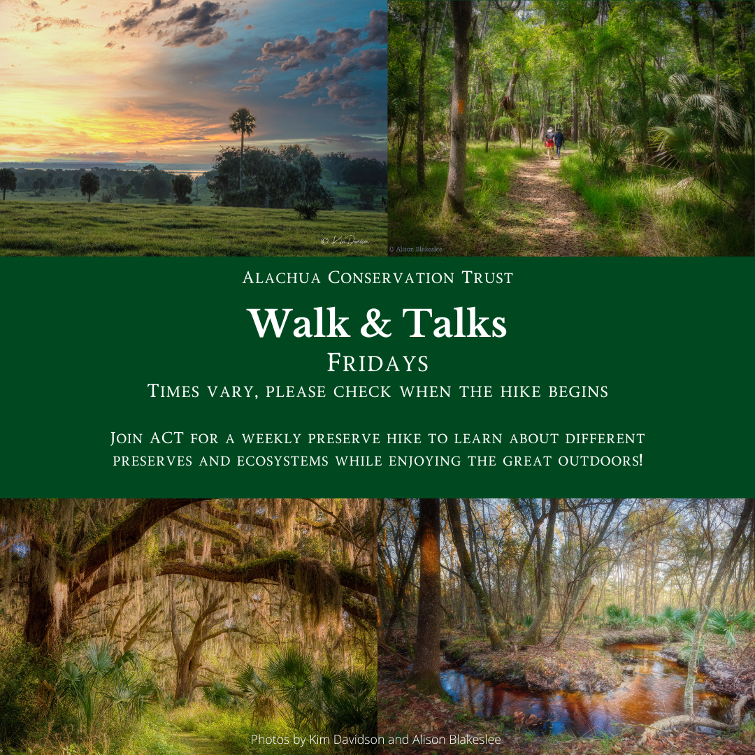 1e76ae39 f092 4466 ab23 5b2abdcd732a In: Alachua Conservation Trust Events | Our Santa Fe River, Inc. (OSFR) | Protecting the Santa Fe River 1e76ae39 f092 4466 ab23 5b2abdcd732a In: Alachua Conservation Trust Events | Our Santa Fe River, Inc. (OSFR) | Protecting the Santa Fe River