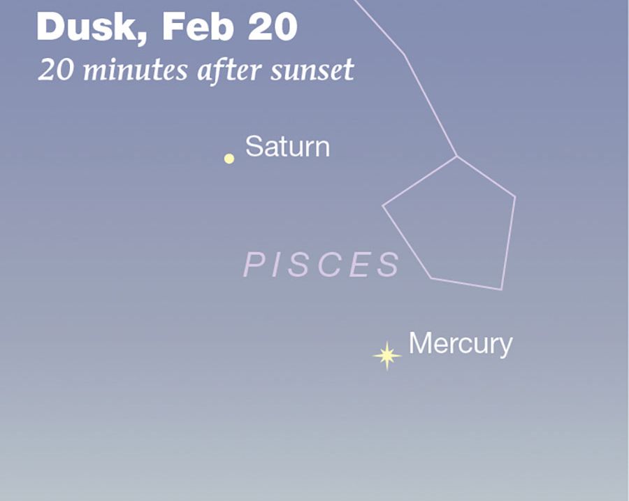 WEBvic2026_Feb13_ev_LIGHT_FEATURED image