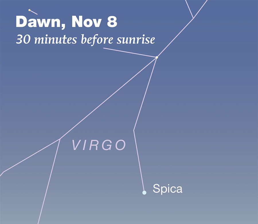 SMP_2025Vic_Nov10mo-DARKblu_FEATURED image