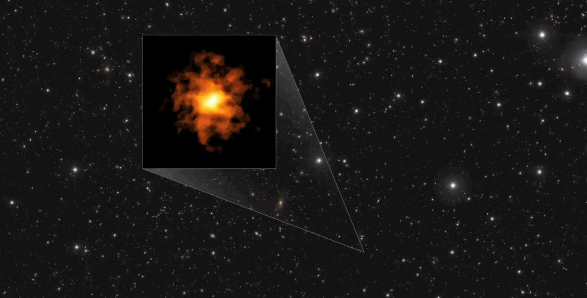 Al-Nagler-Stellafane-2007-768x514 image