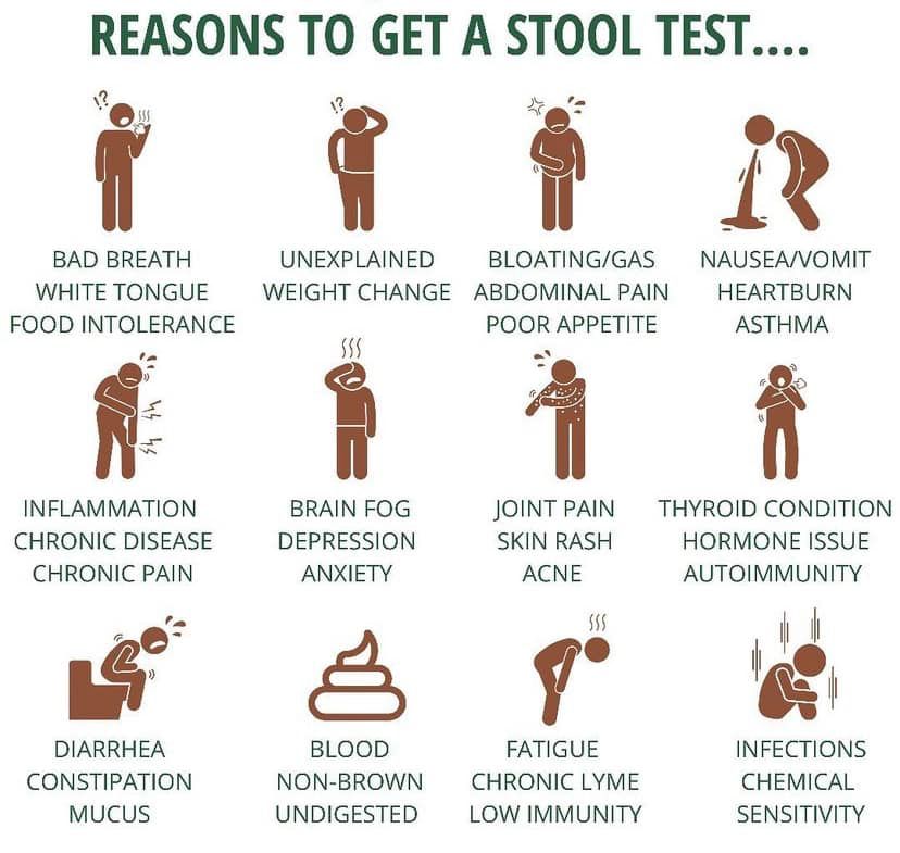 Why Run a Stool Test?