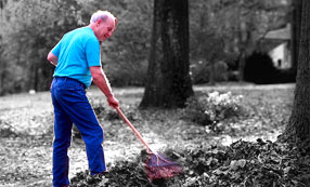 leaf-raking-man.jpg