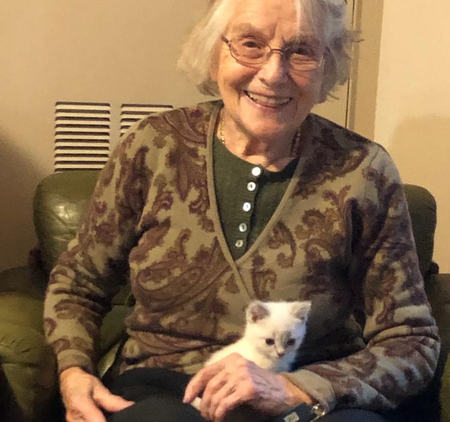 Life is also better when you have a kitten