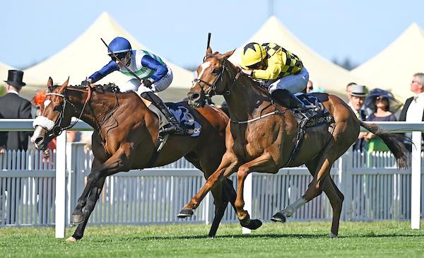 Improving stayer Coltrane makes it a day to remember for Callum ...