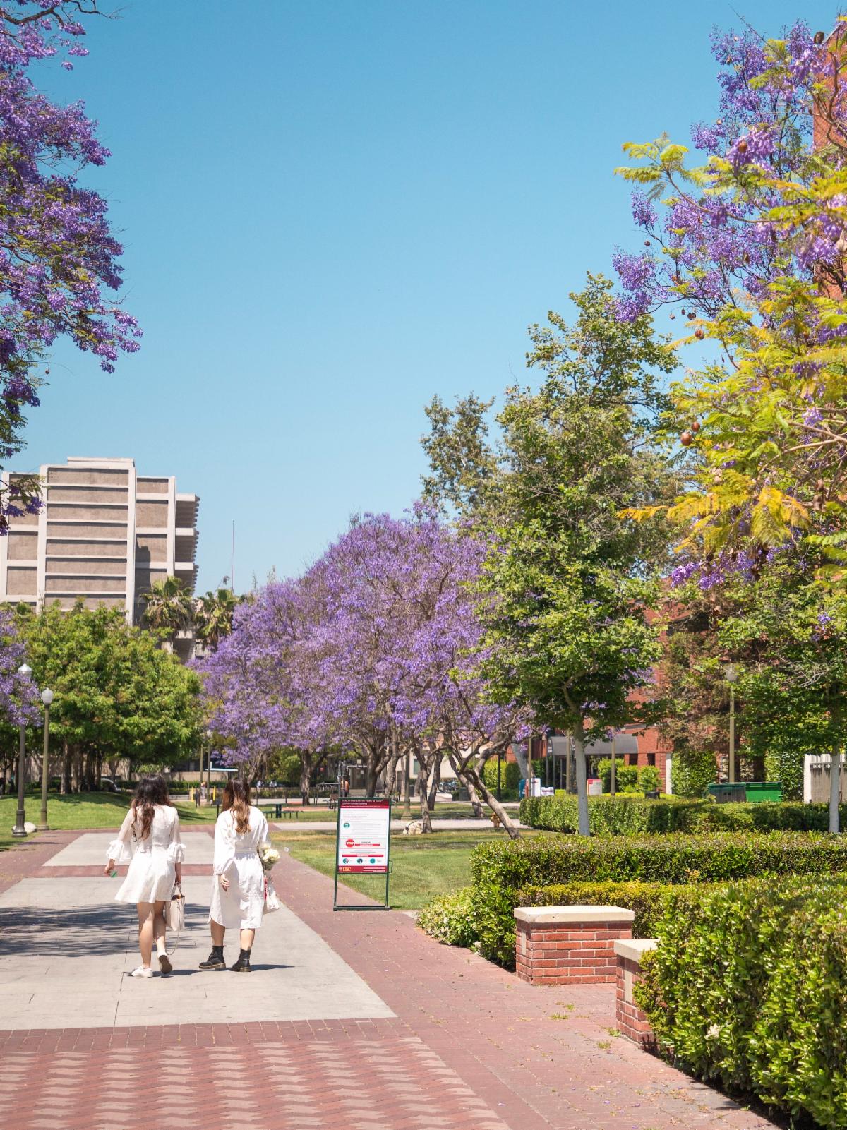 What You Need To Know About Usc Academic Calendar - ltewban