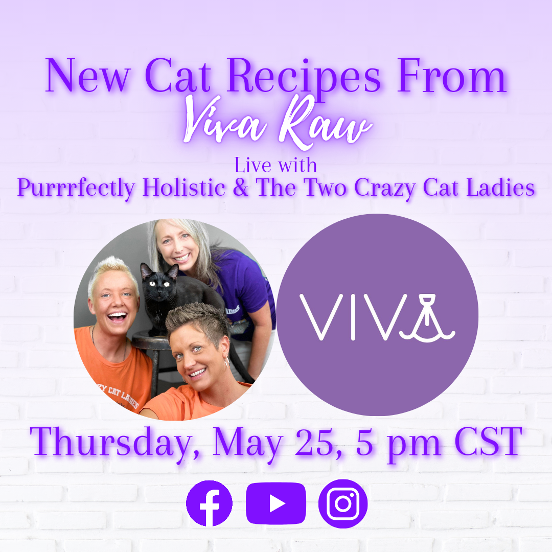 Viva Raw has new cat recipes!