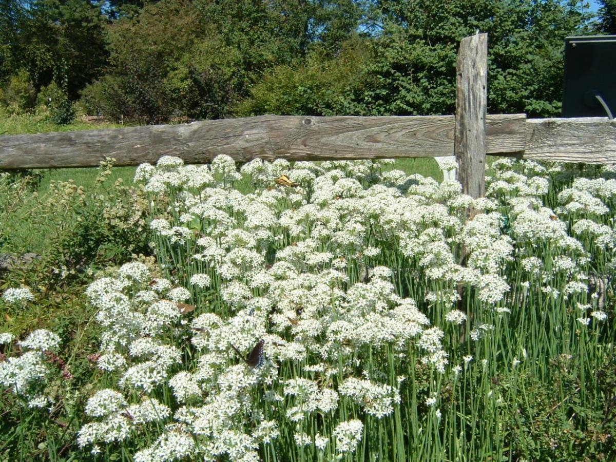 Upcoming workshops and webinars