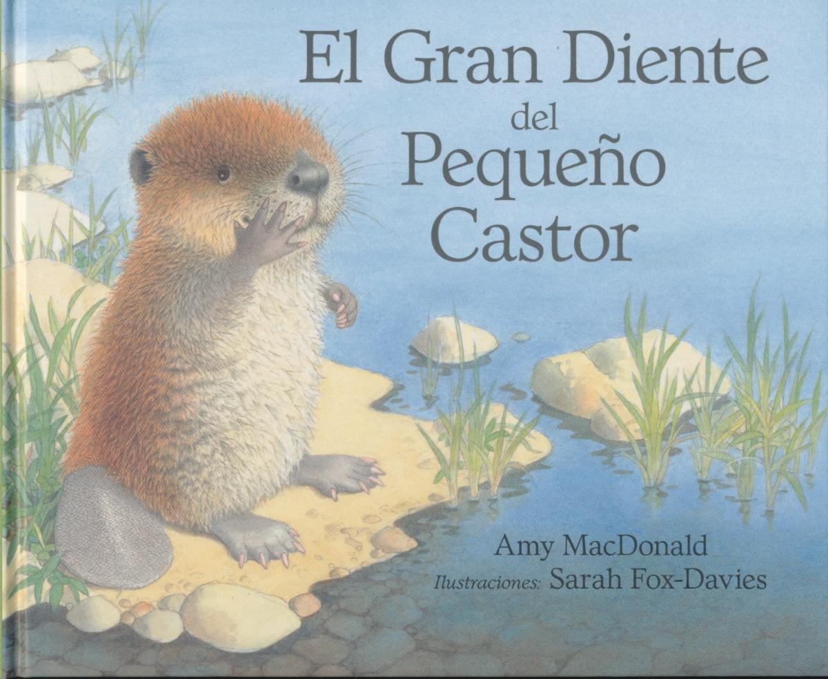 El gran diente del Pequeno Castor.jpg