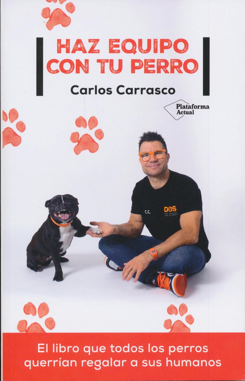 Haz equipo con tu perro.jpg