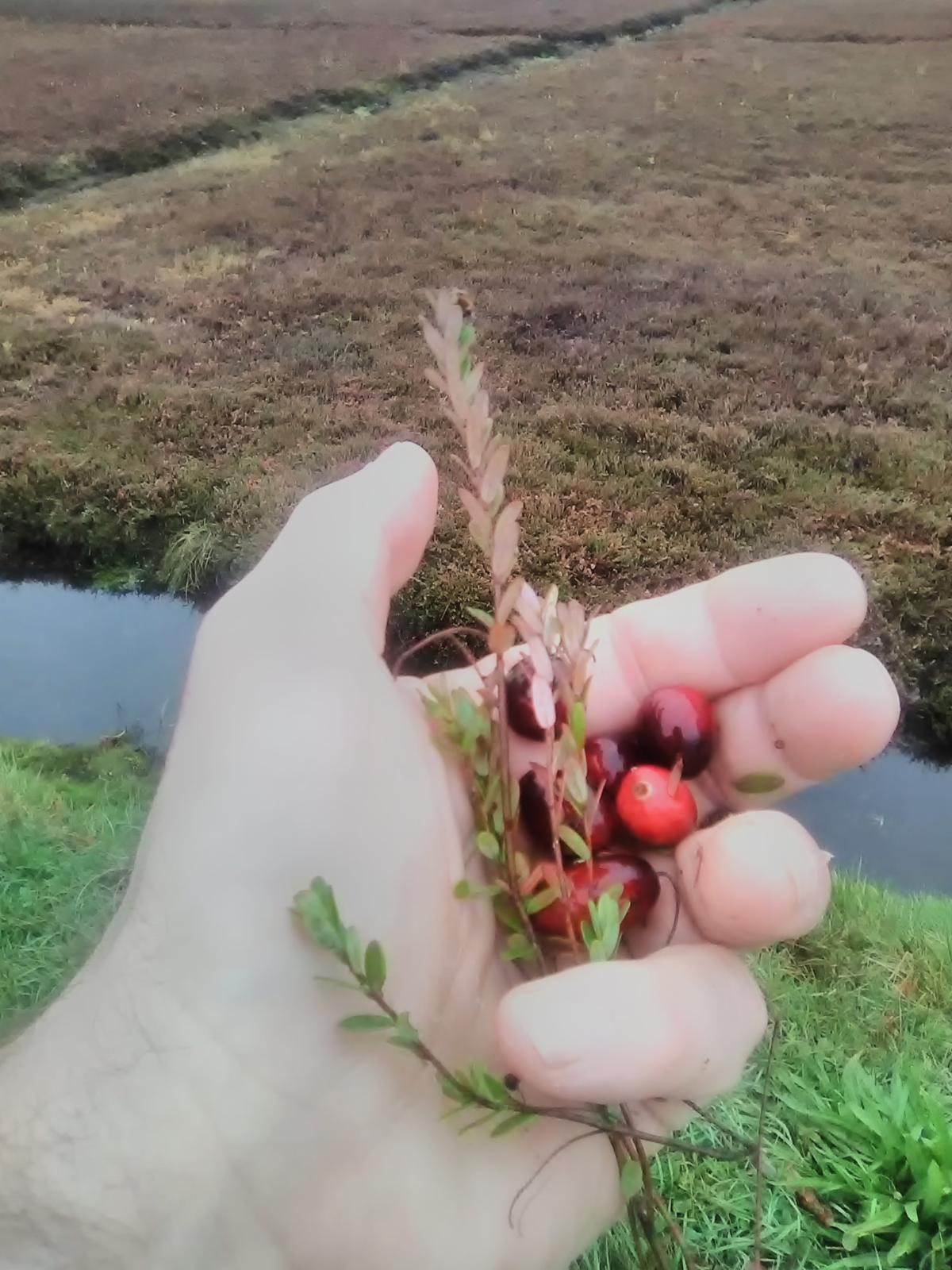 Fall Pond Fishing on Cape Cod